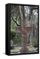 Georgia, Savannah, Bonaventure Cemetery-Walter Bibikow-Framed Stretched Canvas