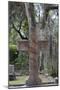 Georgia, Savannah, Bonaventure Cemetery-Walter Bibikow-Mounted Photographic Print