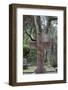 Georgia, Savannah, Bonaventure Cemetery-Walter Bibikow-Framed Photographic Print