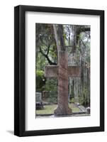 Georgia, Savannah, Bonaventure Cemetery-Walter Bibikow-Framed Photographic Print