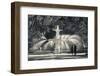 Georgia, Savannah, Fountain in Forsyth Park-Walter Bibikow-Framed Photographic Print