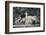 Georgia, Savannah, Fountain in Forsyth Park-Walter Bibikow-Framed Photographic Print