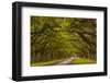 Georgia, Savannah, Mile Long Oak Drive at Historic Wormsloe Plantation-Joanne Wells-Framed Photographic Print