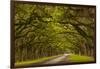 Georgia, Savannah, Mile Long Oak Drive at Historic Wormsloe Plantation-Joanne Wells-Framed Photographic Print