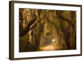 Georgia, Savannah, Savannah NWR, Moss Draped Oaks Along Drive-Joanne Wells-Framed Photographic Print