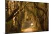 Georgia, Savannah, Savannah NWR, Moss Draped Oaks Along Drive-Joanne Wells-Mounted Photographic Print