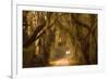 Georgia, Savannah, Savannah NWR, Moss Draped Oaks Along Drive-Joanne Wells-Framed Photographic Print