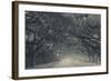 Georgia, Savannah, Wormsloe State Historic Site, Live Oak Avenue-Walter Bibikow-Framed Photographic Print