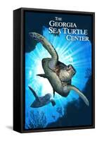 Georgia Sea Turtle Center, Georgia - Sea Turtle Diving-Lantern Press-Framed Stretched Canvas