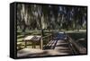 Georgia, St. Simons Island, Fort Frederica National Monument, Walkway-Walter Bibikow-Framed Stretched Canvas