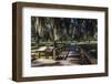 Georgia, St. Simons Island, Fort Frederica National Monument, Walkway-Walter Bibikow-Framed Photographic Print