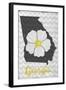 Georgia - State Flower - Cherokee Rose-Lantern Press-Framed Art Print