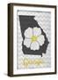 Georgia - State Flower - Cherokee Rose-Lantern Press-Framed Art Print