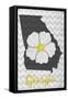 Georgia - State Flower - Cherokee Rose-Lantern Press-Framed Stretched Canvas