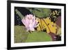 Georgia Summer-Allan Friedlander-Framed Art Print