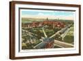 Brown Frame
