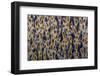 Georgia-Art Wolfe-Framed Photographic Print