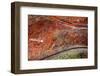 Georgia-Art Wolfe-Framed Photographic Print