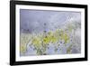 Georgia-Art Wolfe-Framed Photographic Print