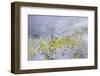 Georgia-Art Wolfe-Framed Photographic Print