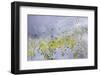 Georgia-Art Wolfe-Framed Photographic Print