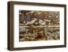 Georgia-Art Wolfe-Framed Photographic Print