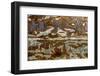 Georgia-Art Wolfe-Framed Photographic Print