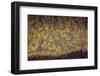 Georgia-Art Wolfe-Framed Photographic Print