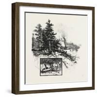 Georgian Bay and the Muskoka Lakes, at the Landing, Rosseau, Canada, Nineteenth Century-null-Framed Giclee Print