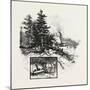 Georgian Bay and the Muskoka Lakes, at the Landing, Rosseau, Canada, Nineteenth Century-null-Mounted Giclee Print