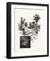 Georgian Bay and the Muskoka Lakes-null-Framed Giclee Print