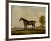 Georgiana, a Horse, 1819-Thomas Weaver-Framed Giclee Print