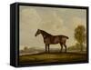 Georgiana, a Horse, 1819-Thomas Weaver-Framed Stretched Canvas