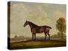 Georgiana, a Horse, 1819-Thomas Weaver-Stretched Canvas