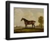 Georgiana, a Horse, 1819-Thomas Weaver-Framed Giclee Print