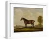 Georgiana, a Horse, 1819-Thomas Weaver-Framed Giclee Print