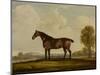 Georgiana, a Horse, 1819-Thomas Weaver-Mounted Giclee Print