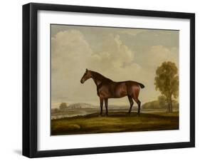 Georgiana, a Horse, 1819-Thomas Weaver-Framed Giclee Print