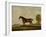 Georgiana, a Horse, 1819-Thomas Weaver-Framed Giclee Print