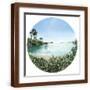 Brown Frame