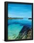 Essential Black