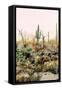 Canvas Black
