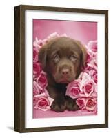 Georgie-Rachael Hale-Framed Photo