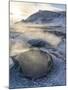 Geothermal Area Hveraroend, Iceland, February-Martin Zwick-Mounted Premium Photographic Print