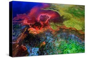 Geothermal Color-Howard Ruby-Stretched Canvas