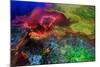 Geothermal Color-Howard Ruby-Mounted Photographic Print