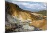 Geothermal Fields at Krysuvik, Reykjanes Peninsula, Iceland, Polar Regions-Yadid Levy-Mounted Photographic Print