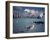 Geothermal Power Plant and Blue Lagoon at Svartsengi, Iceland, Polar Regions-Hart Kim-Framed Photographic Print