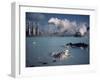 Geothermal Power Plant and Blue Lagoon at Svartsengi, Iceland, Polar Regions-Hart Kim-Framed Photographic Print