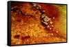 Geothermal Red Rocks-Howard Ruby-Framed Stretched Canvas